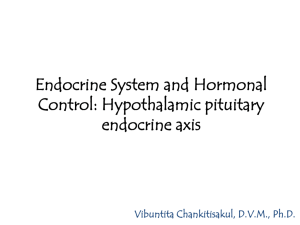 Chemical Signals in Animals: Endocrine System and Hormonal