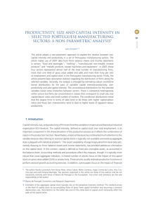 Productivity, size and sapital Intensity in selected Portuguese