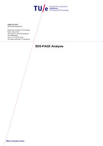 SDS-PAGE Analysis