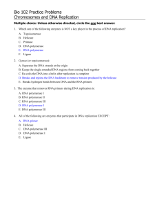 Bio 102 Practice Problems Chromosomes and DNA Replication