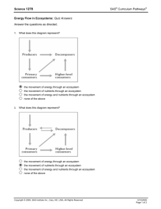 Energy Flow in Ecosystems quizAnswers