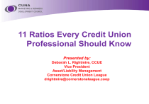 Credit Union Financial Ratios: Key Metrics for Professionals