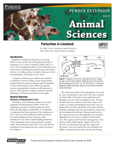 Parturition in Livestock - Purdue Extension