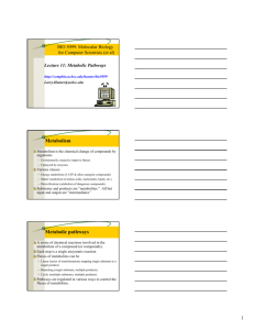 1 Metabolism Metabolic pathways