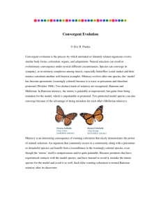 Convergent Evolution - University of Texas