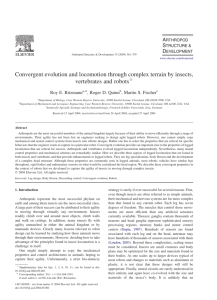 Convergent evolution and locomotion through complex terrain by