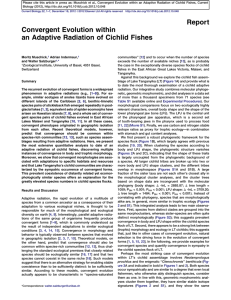 Convergent Evolution within an Adaptive Radiation of Cichlid Fishes