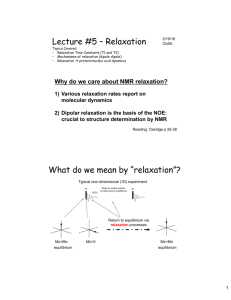 Lecture #5 – Relaxation What do we mean by
