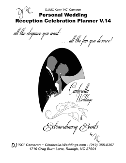 Wedding Reception Planner And Dj Contract Wedding Reception Guide Why I Am Diffe Cinderella Weddings
