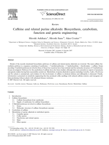 Caffeine and related purine alkaloids: Biosynthesis, catabolism