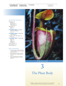 The Plant Body - School of Life Sciences