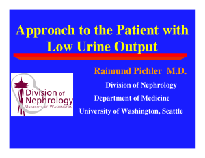 Approach to the Patient with Low Urine Output