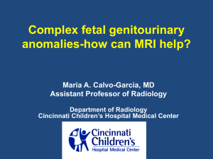Complex fetal genitourinary anomalies