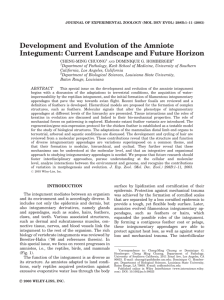 Development and Evolution of the Amniote Integument: Current