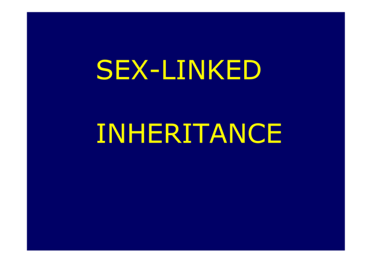 Sex Linked Inheritance 