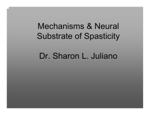 Mechanisms and neural substrate of spasticity