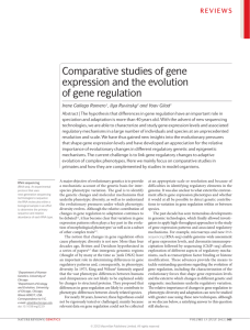 Comparative studies of gene expression - Ruvinsky Lab