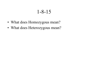 • What does Homozygous mean? • What does Heterozygous mean?