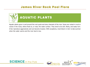 AQUATIC PlAnTS - James River Park System