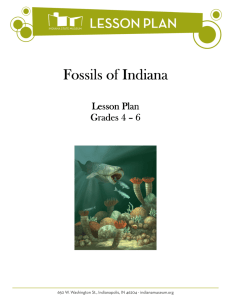 Indiana Fossils - Indiana State Museum