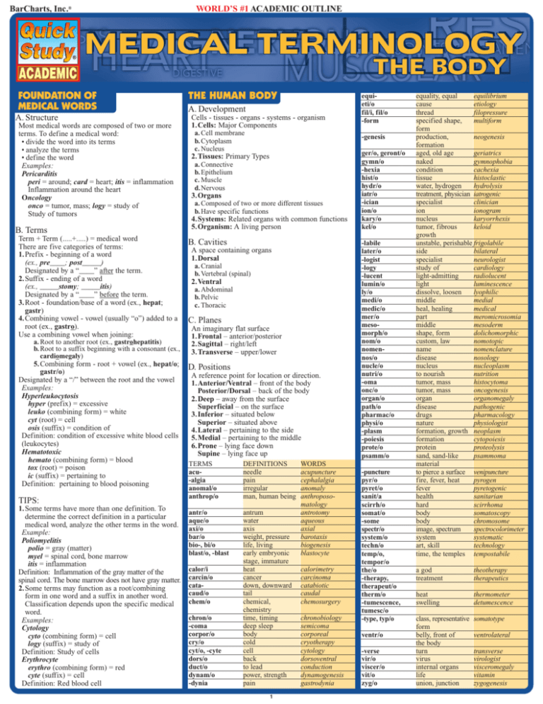 medical terminology unit 2 assignment human body map