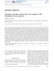 Ecotypes and the controversy over stages in the formation of new