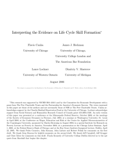 Interpreting the Evidence on Life Cycle Skill Formation