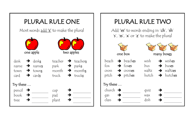 word that ends with x plural