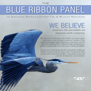 blue Ribbon PAnel - Association of Fish and Wildlife Agencies