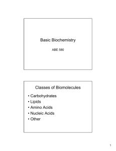 Basic Biochemistry Classes of Biomolecules