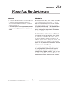 Dissection: The Earthworm - f