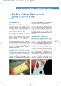 14 The Role of Gluten Elasticity in the Baking Quality of Wheat, PDF