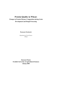 Protein Quality in Wheat