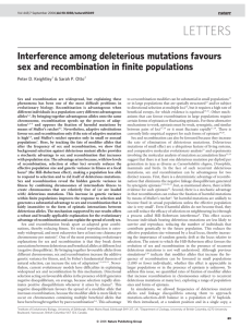 Interference among deleterious mutations favours