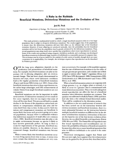 A Ruby in the Rubbish: Beneficial Mutations, Deleterious Mutations