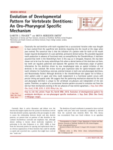 Evolution of developmental pattern for vertebrate