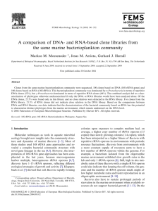 A comparison of DNA- and RNA-based clone libraries from the