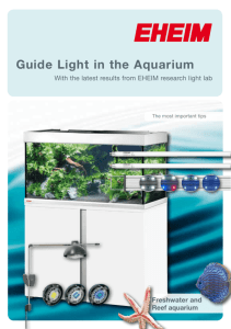 Guide Light in the Aquarium