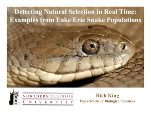 Detecting Natural Selection in Real Time