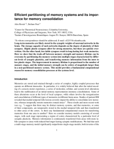 Efficient partitioning of memory - Theoretical Neurobiology of