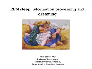 REM sleep, information processing and dreaming
