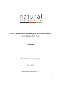 Collision Avoidance of Golden Eagles at Wind Farms under the