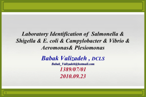 Laboratory Identification of Salmonella & Shigella & E. coli