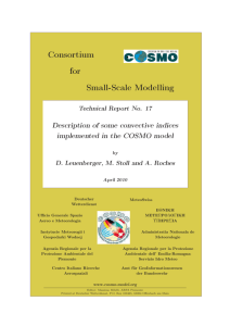 Consortium for Small-Scale Modelling