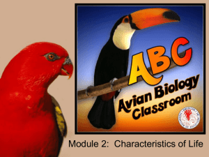 Characteristics of Life - the American Federation of Aviculture