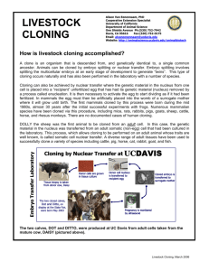 livestock cloning - Department of Animal Science