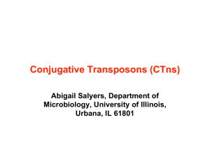 Conjugative Transposons (CTns)