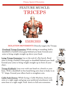 Triceps Feature.pub