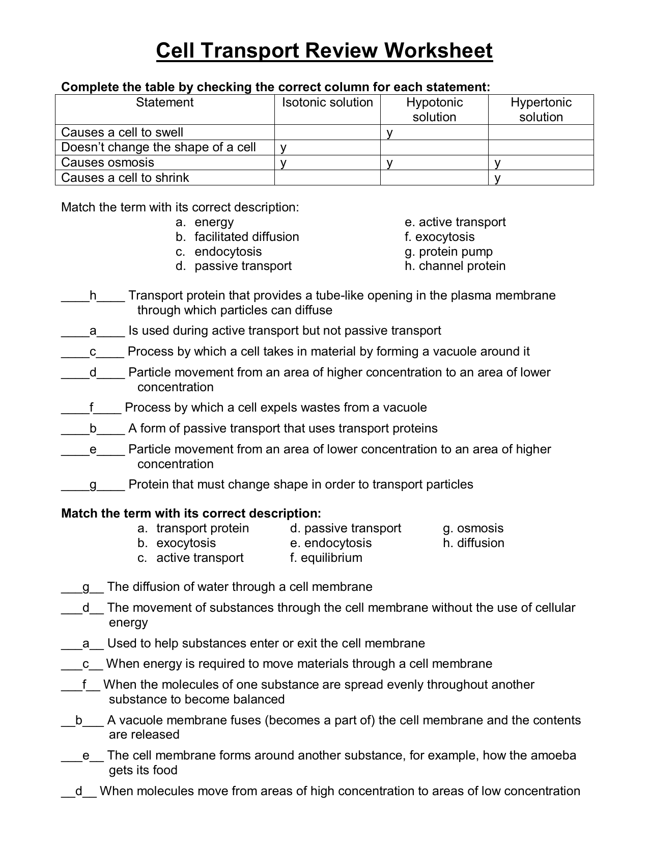 Cell Transport Review Answers For Cell Transport Worksheet Answers