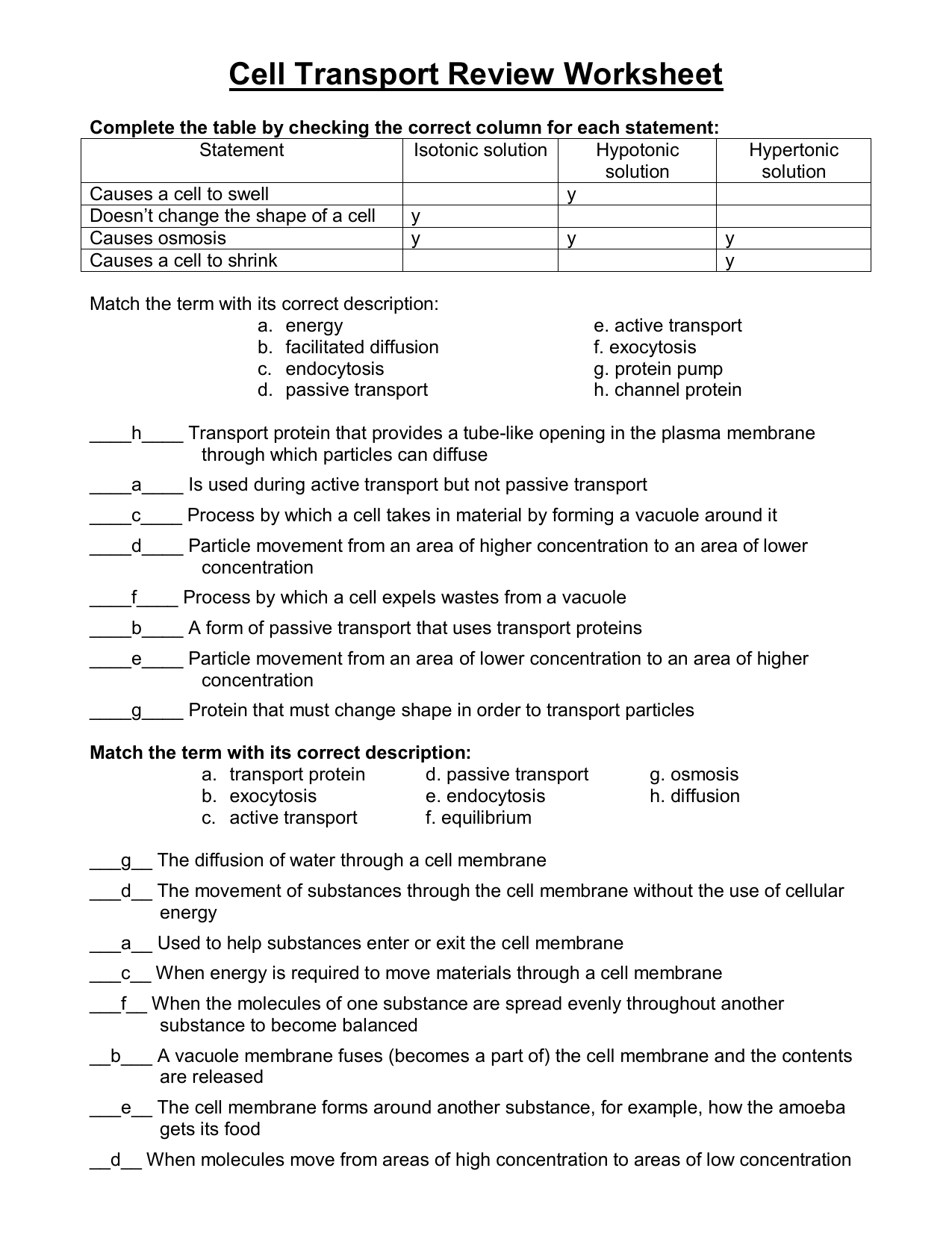 Cell Transport Review Answers In Passive Transport Worksheet Answers